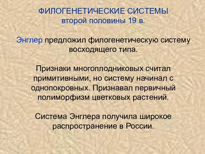 ФИЛОГЕНЕТИЧЕСКИЕ СИСТЕМЫ второй половины 19 в. Энглер предложил филогенетическую систему