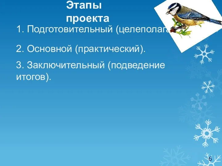 Этапы проекта 1. Подготовительный (целеполагание). 2. Основной (практический). 3. Заключительный (подведение итогов).