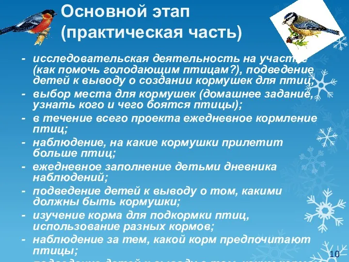 Основной этап (практическая часть) исследовательская деятельность на участке (как помочь