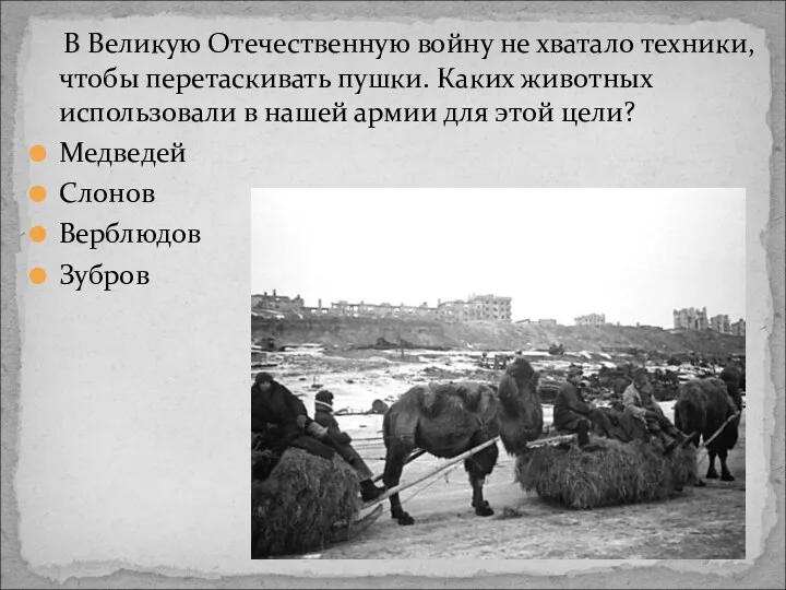 В Великую Отечественную войну не хватало техники, чтобы перетаскивать пушки.