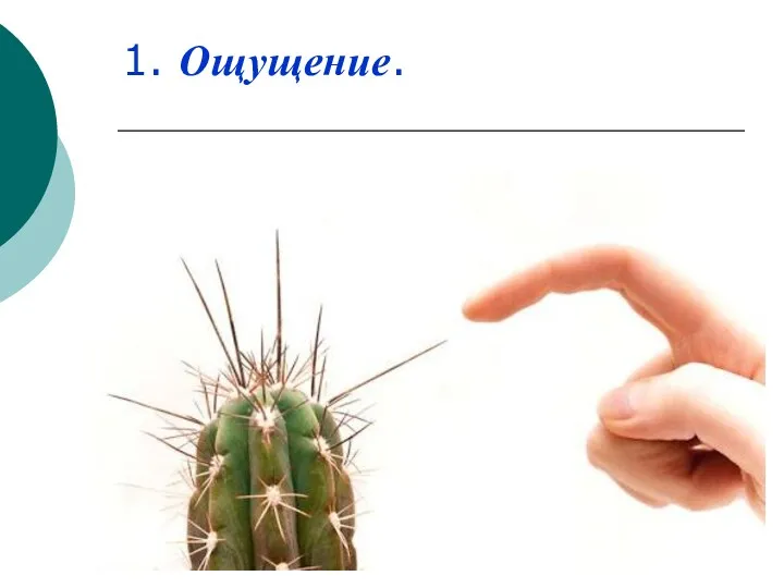 1. Ощущение.