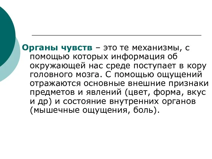 Органы чувств – это те механизмы, с помощью которых информация