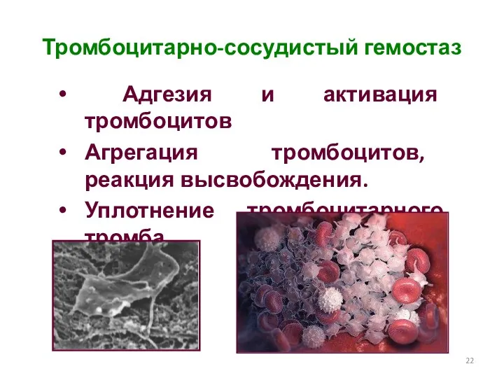 Тромбоцитарно-сосудистый гемостаз Адгезия и активация тромбоцитов Агрегация тромбоцитов, реакция высвобождения. Уплотнение тромбоцитарного тромба.