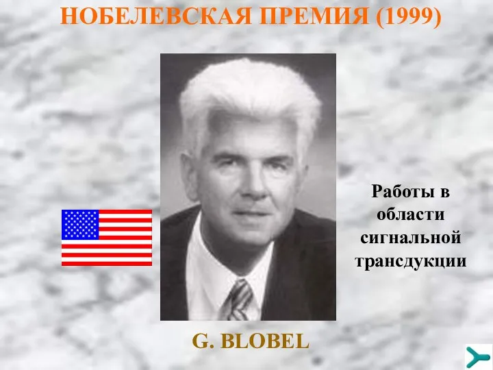 НОБЕЛЕВСКАЯ ПРЕМИЯ (1999) G. BLOBEL Работы в области сигнальной трансдукции