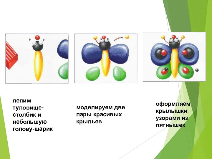 лепим туловище-столбик и небольшую голову-шарик моделируем две пары красивых крыльев оформляем крылышки узорами из пятнышек