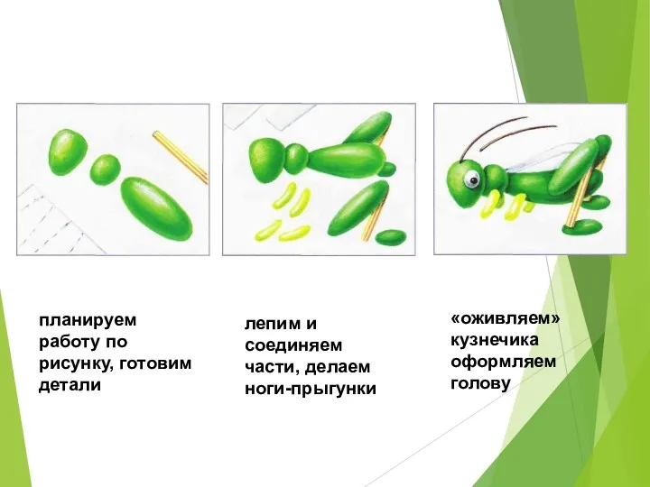планируем работу по рисунку, готовим детали лепим и соединяем части, делаем ноги-прыгунки «оживляем» кузнечика оформляем голову