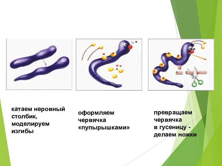 катаем неровный столбик, моделируем изгибы оформляем червячка «пупырышками» превращаем червячка в гусеницу - делаем ножки