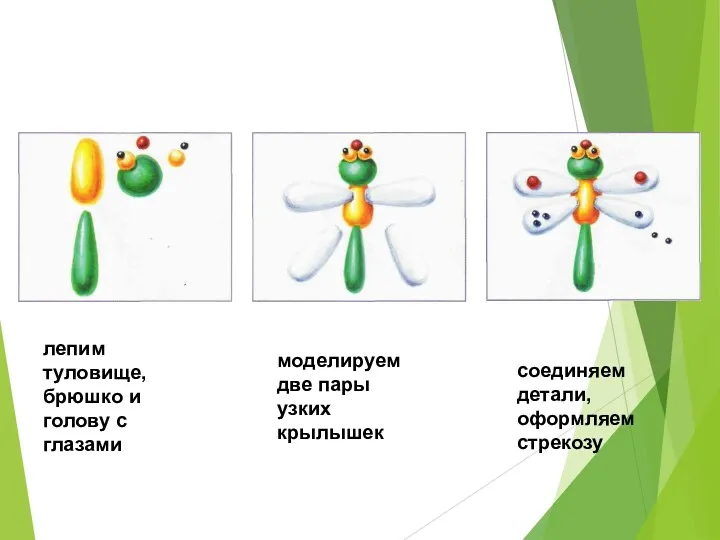 лепим туловище, брюшко и голову с глазами моделируем две пары узких крылышек соединяем детали, оформляем стрекозу