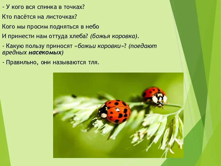 - У кого вся спинка в точках? Кто пасётся на