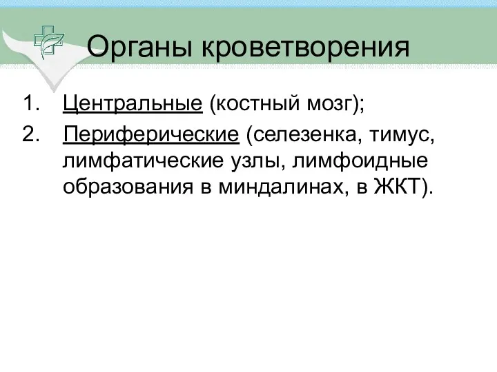 Органы кроветворения Центральные (костный мозг); Периферические (селезенка, тимус, лимфатические узлы, лимфоидные образования в миндалинах, в ЖКТ).