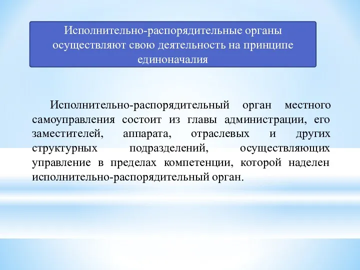 Исполнительно-распорядительные органы осуществляют свою деятельность на принципе единоначалия Исполнительно-распорядительный орган