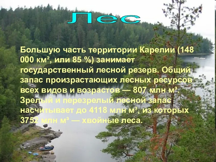 Большую часть территории Карелии (148 000 км², или 85 %)