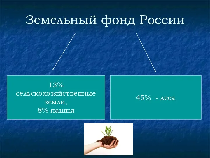 Земельный фонд России 13% сельскохозяйственные земли, 8% пашня 45% - леса