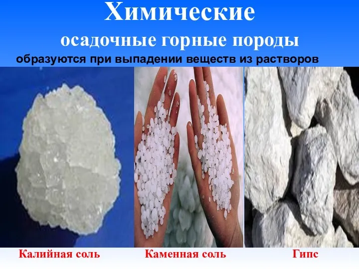 Химические осадочные горные породы Калийная соль Каменная соль Гипс образуются при выпадении веществ из растворов