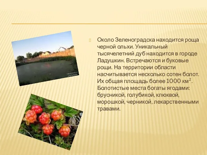 Около Зеленоградска находится роща черной ольхи. Уникальный тысячелетний дуб находится в городе Ладушкин.