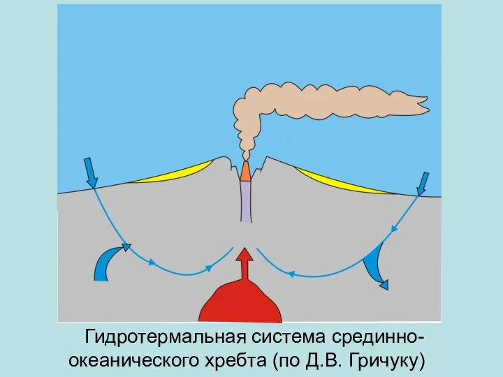 Гидротермальная система срединно- океанического хребта (по Д.В. Гричуку)