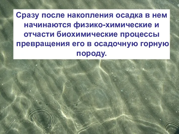 . Сразу после накопления осадка в нем начинаются физико-химические и