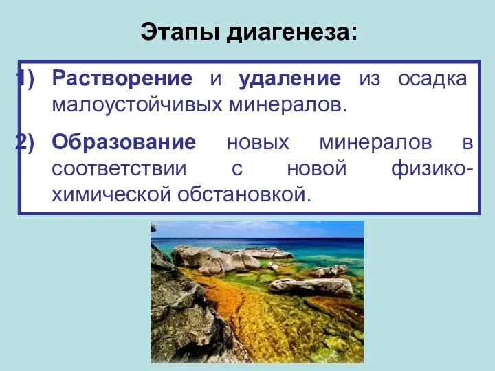 Этапы диагенеза: Растворение и удаление из осадка малоустойчивых минералов. Образование