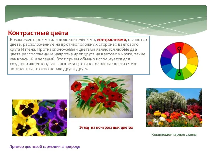 Комплементарными или дополнительными, контрастными, являются цвета, расположенные на противоположных сторонах