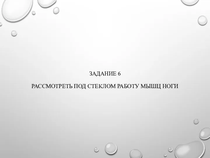 ЗАДАНИЕ 6 РАССМОТРЕТЬ ПОД СТЕКЛОМ РАБОТУ МЫШЦ НОГИ