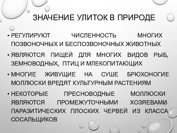 ЗНАЧЕНИЕ УЛИТОК В ПРИРОДЕ РЕГУЛИРУЮТ ЧИСЛЕННОСТЬ МНОГИХ ПОЗВОНОЧНЫХ И БЕСПОЗВОНОЧНЫХ