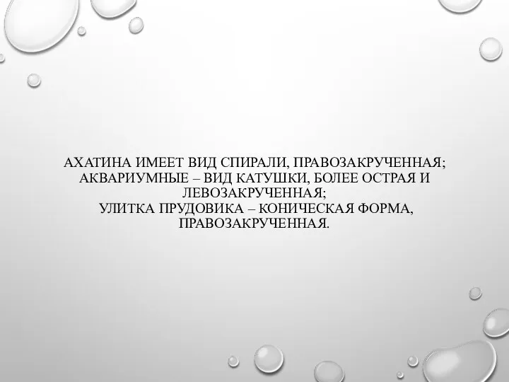 АХАТИНА ИМЕЕТ ВИД СПИРАЛИ, ПРАВОЗАКРУЧЕННАЯ; АКВАРИУМНЫЕ – ВИД КАТУШКИ, БОЛЕЕ