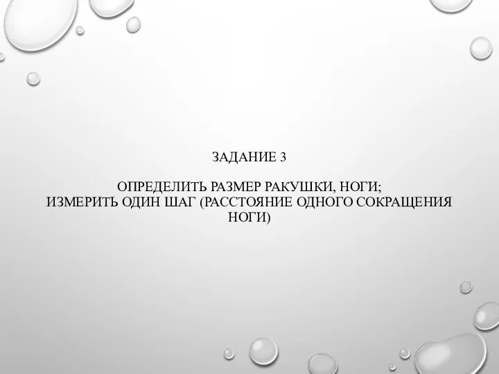 ЗАДАНИЕ 3 ОПРЕДЕЛИТЬ РАЗМЕР РАКУШКИ, НОГИ; ИЗМЕРИТЬ ОДИН ШАГ (РАССТОЯНИЕ ОДНОГО СОКРАЩЕНИЯ НОГИ)