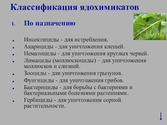 Классификация ядохимикатов По назначению Инсектициды - для истребления. Акарициды -