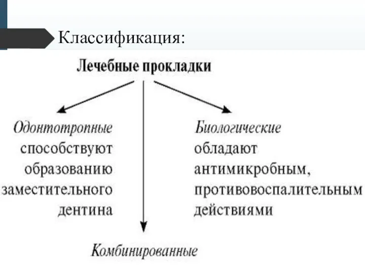 Классификация: