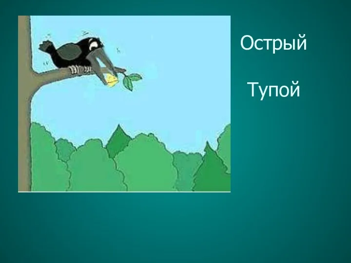 Острый Тупой