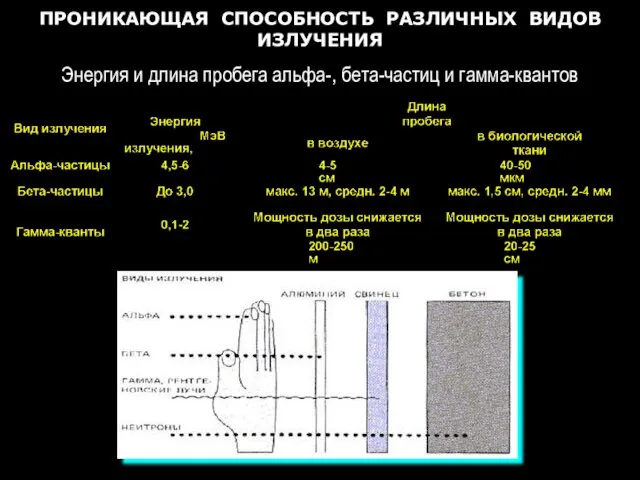 ПРОНИКАЮЩАЯ СПОСОБНОСТЬ РАЗЛИЧНЫХ ВИДОВ ИЗЛУЧЕНИЯ Энергия и длина пробега альфа-, бета-частиц и гамма-квантов