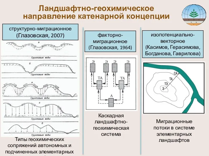 Ландшафтно-геохимическое направление катенарной концепции факторно-миграционное (Глазовская, 1964) структурно-миграционное (Глазовская, 2007)