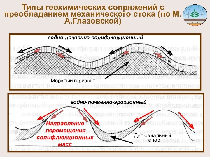 Типы геохимических сопряжений с преобладанием механического стока (по М.А.Глазовской) Мерзлый