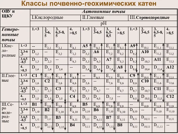 Классы почвенно-геохимических катен