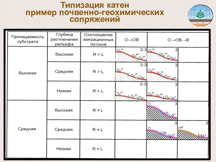 Типизация катен пример почвенно-геохимических сопряжений