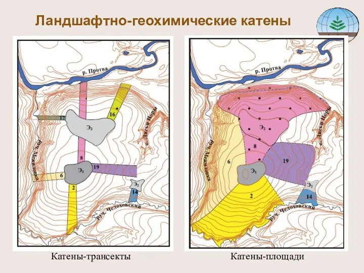 Ландшафтно-геохимические катены Катены-трансекты Катены-площади