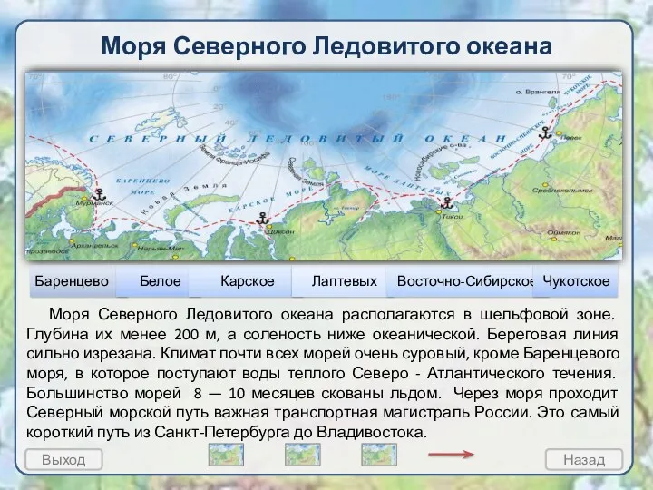 1 Моря Северного Ледовитого океана Баренцево море Карское море Море Лаптевых Чукотское море