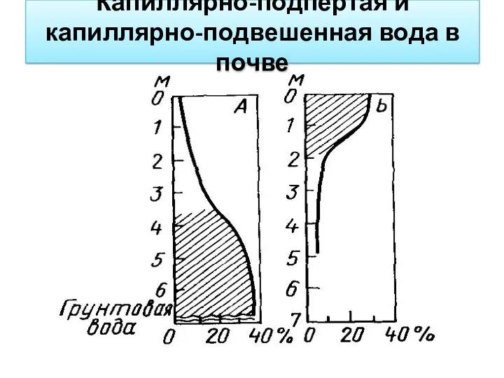 Капиллярно-подпертая и капиллярно-подвешенная вода в почве