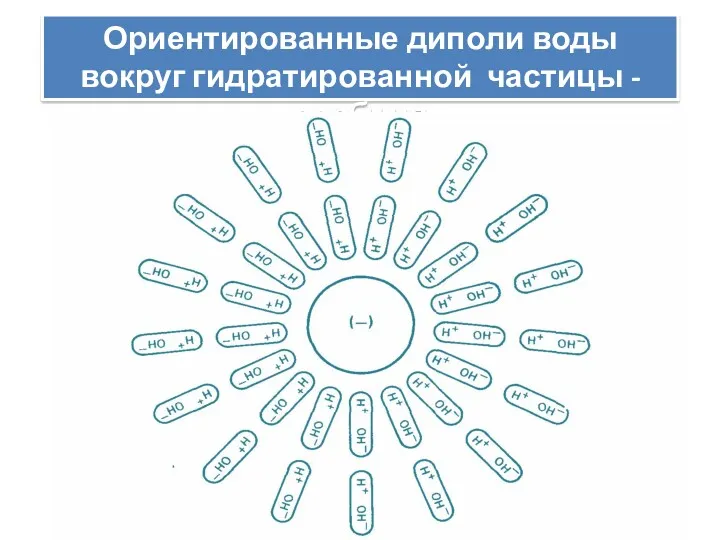 Ориентированные диполи воды вокруг гидратированной частицы - сорбция