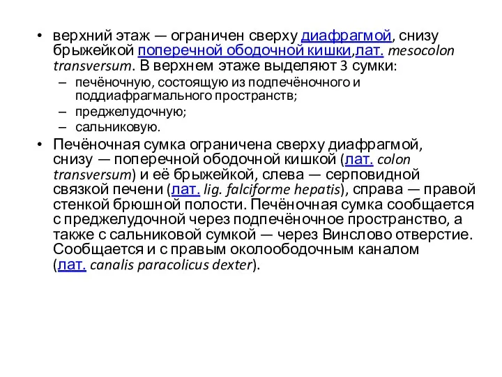 верхний этаж — ограничен сверху диафрагмой, снизу брыжейкой поперечной ободочной