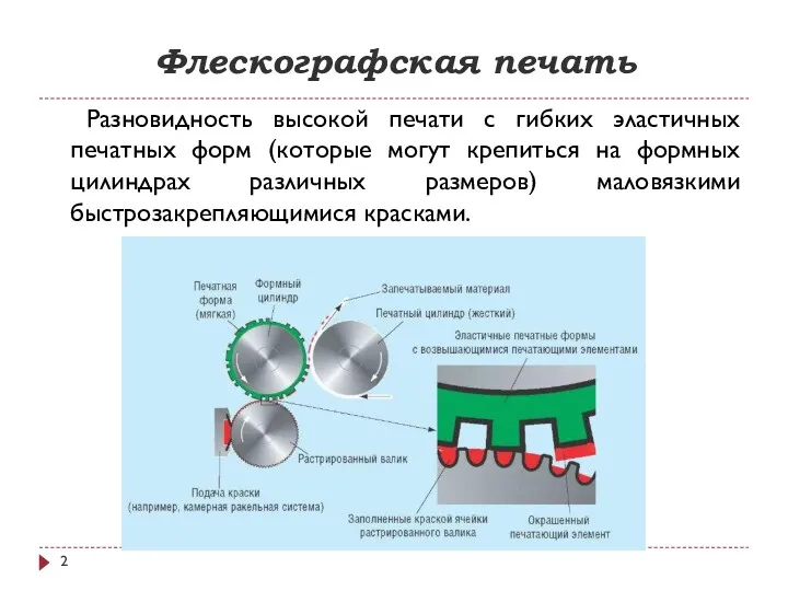 Флескографская печать Разновидность высокой печати с гибких эластичных печатных форм