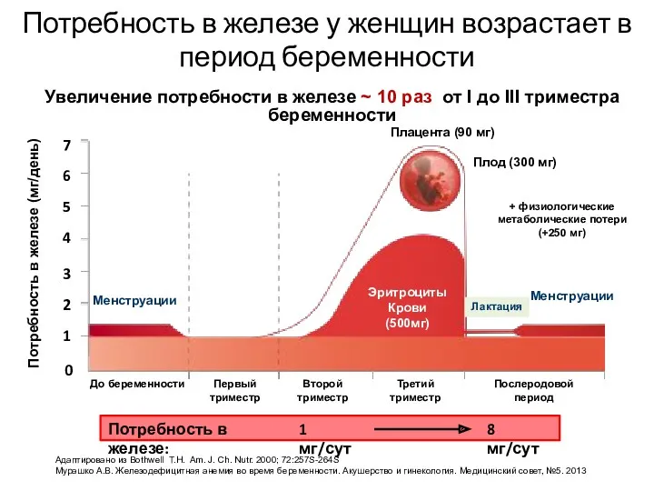 Увеличение потребности в железе ~ 10 раз от I до