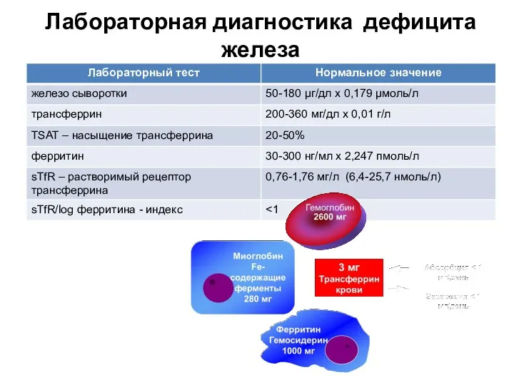 Лабораторная диагностика дефицита железа