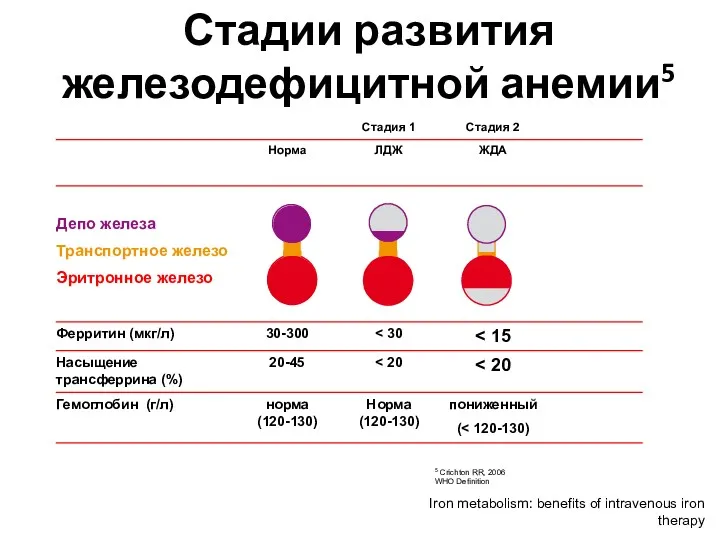 Стадии развития железодефицитной анемии5 Iron metabolism: benefits of intravenous iron