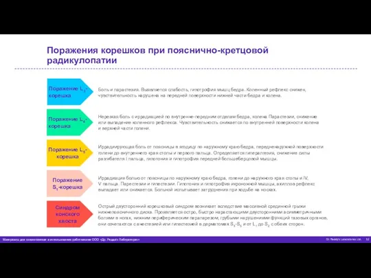 Поражения корешков при пояснично-кретцовой радикулопатии Поражение L3-корешка Поражение L4-корешка Поражение