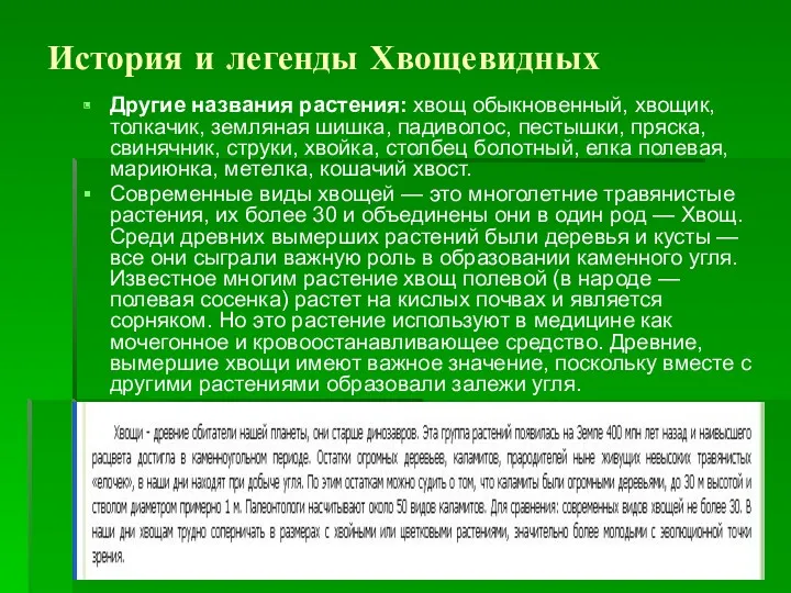 История и легенды Хвощевидных Другие названия растения: хвощ обыкновенный, хвощик,