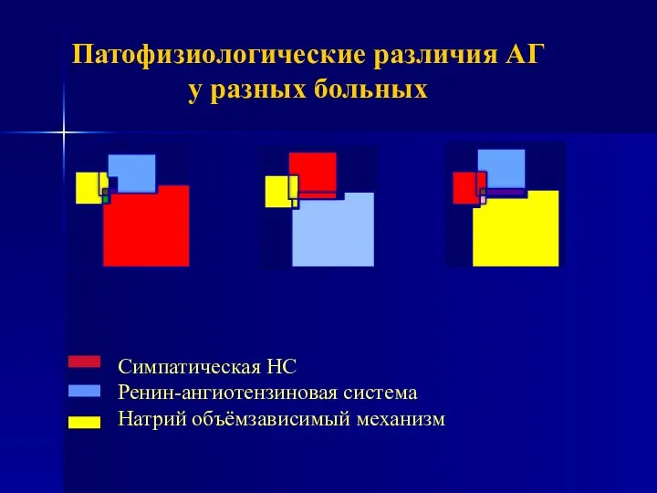 Патофизиологические различия АГ у разных больных Симпатическая НС Ренин-ангиотензиновая система Натрий объёмзависимый механизм