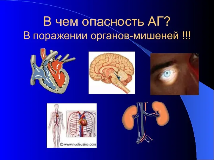 В чем опасность АГ? В поражении органов-мишеней !!!