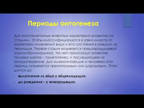 Периоды онтогенеза Для многоклеточных животных характерно развитие по стадиям. Этапы