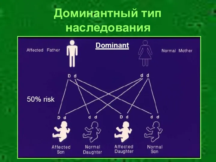 Доминантный тип наследования